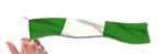 Finger-Flag, Nigeria